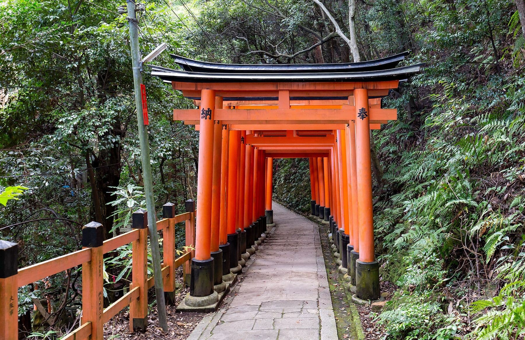 Los portales rojos del santuario Fushimi Inari